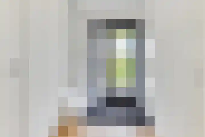 Sleedoorn 17 Heiloo thumbnail 23