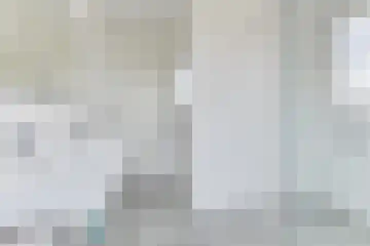Sleedoorn 17 Heiloo thumbnail 33