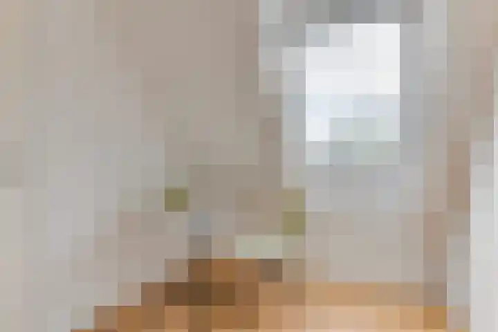 Sleedoorn 17 Heiloo thumbnail 42
