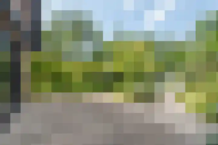 Sleedoorn 17 Heiloo thumbnail 53