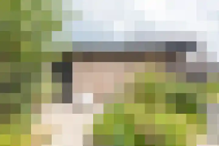 Sleedoorn 17 Heiloo thumbnail 58