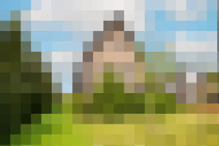 Sleedoorn 17 Heiloo thumbnail 61