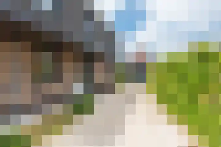 Sleedoorn 17 Heiloo thumbnail 7