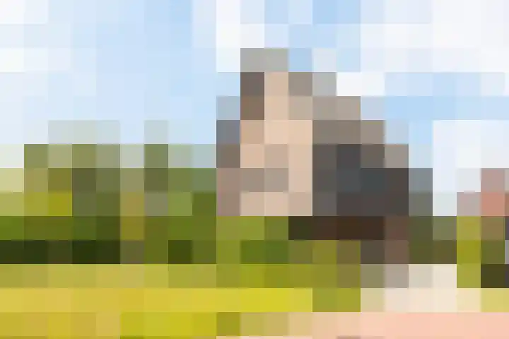 Sleedoorn 17 Heiloo thumbnail 79