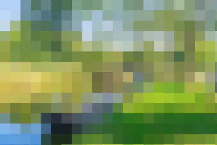 Sleedoorn 17 Heiloo thumbnail 8