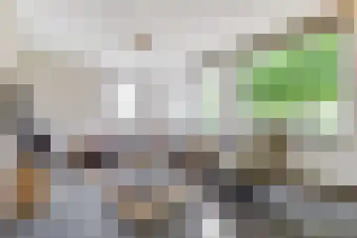 Sleedoorn 7 Heiloo thumbnail 12
