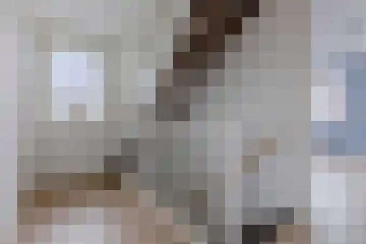 Sleedoorn 7 Heiloo thumbnail 13