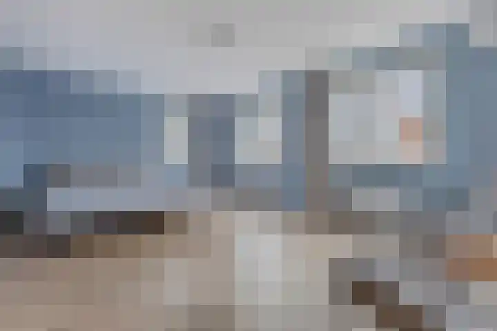Sleedoorn 7 Heiloo thumbnail 14
