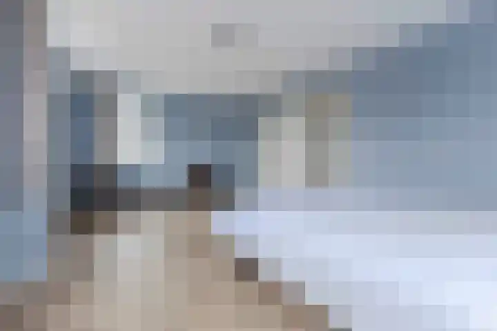 Sleedoorn 7 Heiloo thumbnail 15