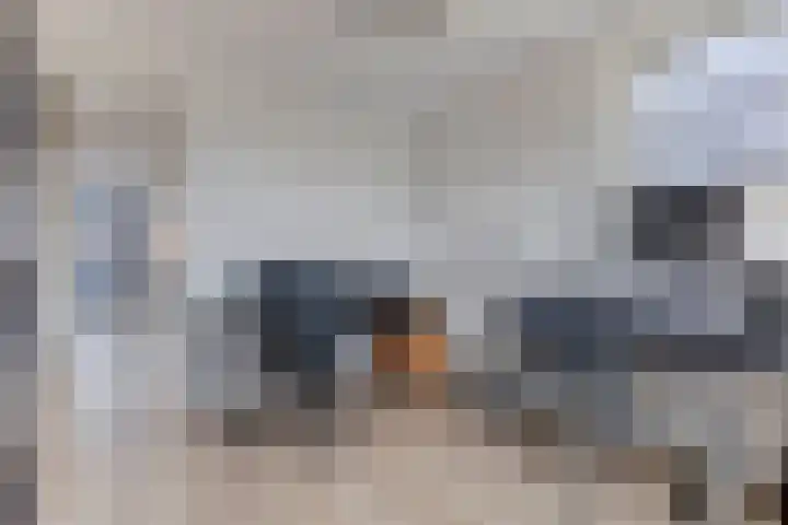 Sleedoorn 7 Heiloo thumbnail 17