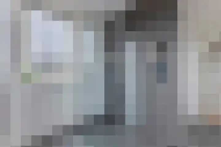 Sleedoorn 7 Heiloo thumbnail 19