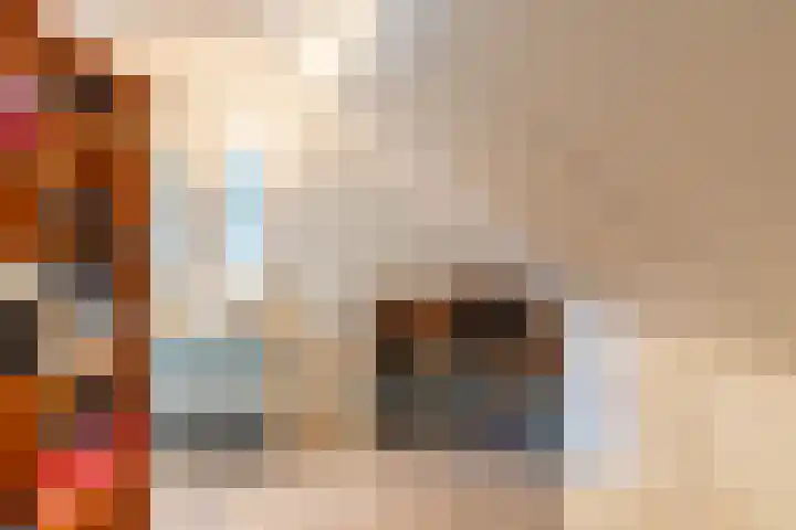 Sleedoorn 7 Heiloo thumbnail 22