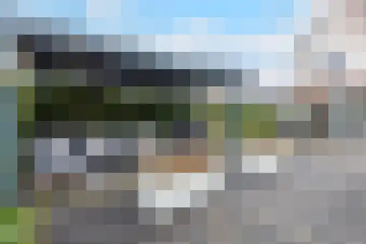 Sleedoorn 7 Heiloo thumbnail 28