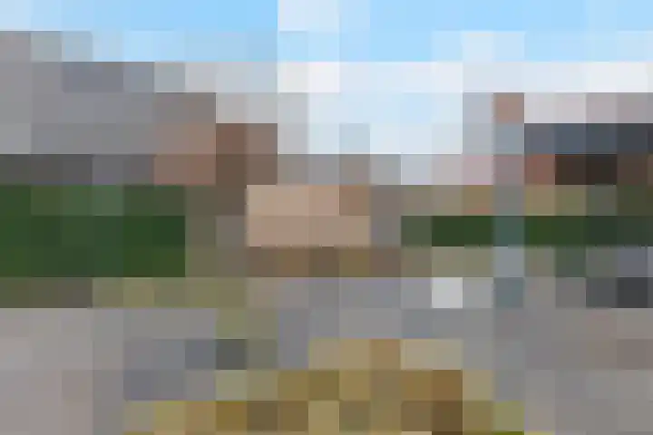Sleedoorn 7 Heiloo thumbnail 31