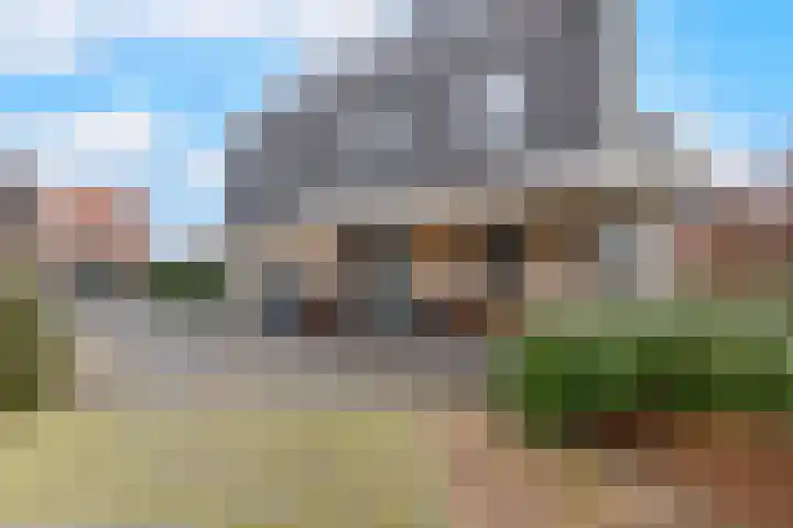 Sleedoorn 7 Heiloo thumbnail 33