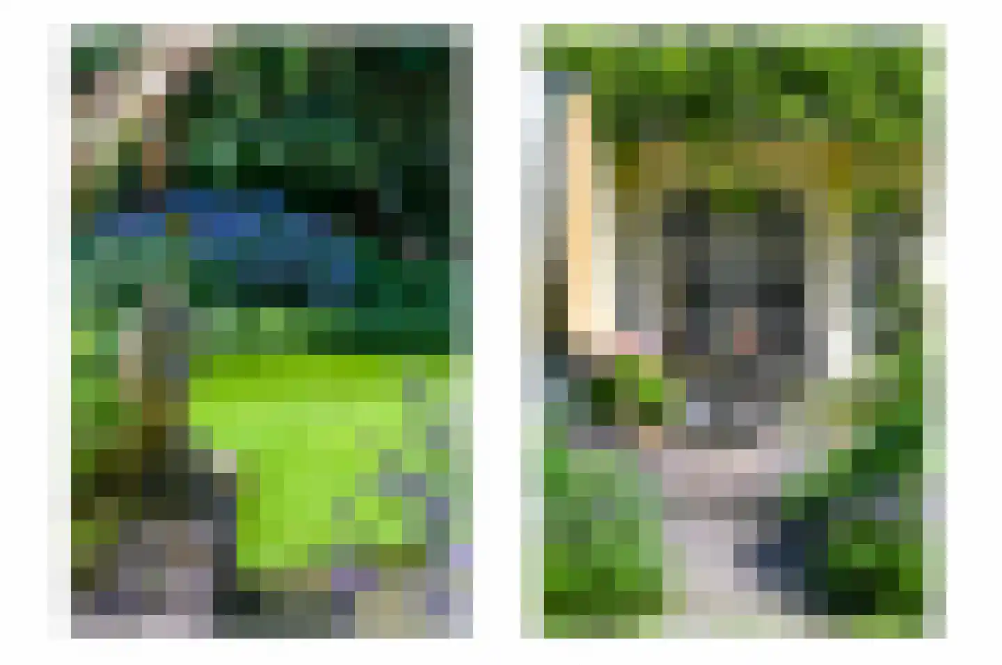 Sleedoorn 7 Heiloo thumbnail 39
