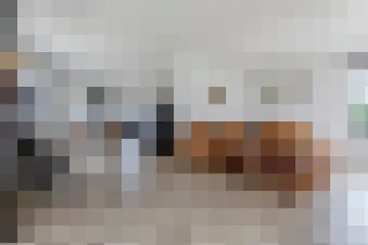 Sleedoorn 7 Heiloo thumbnail 5