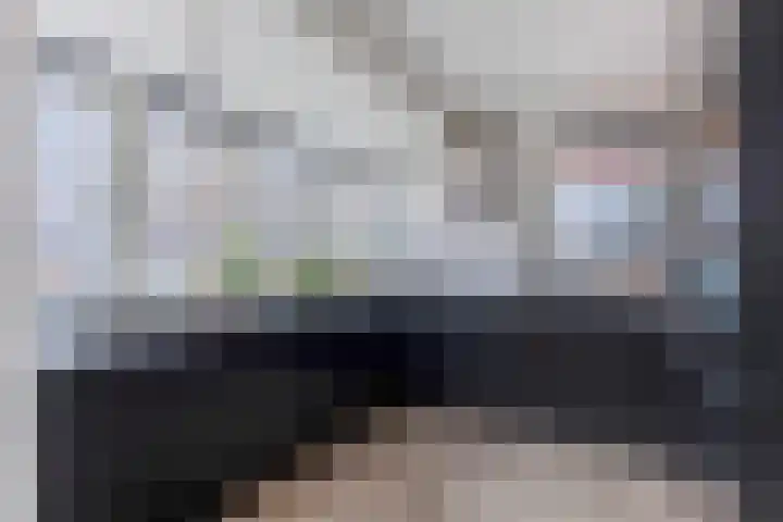 Sleedoorn 7 Heiloo thumbnail 7