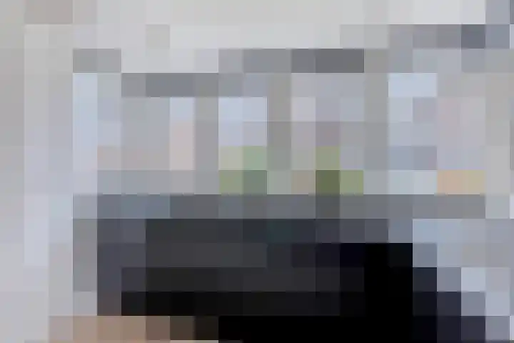 Sleedoorn 7 Heiloo thumbnail 8