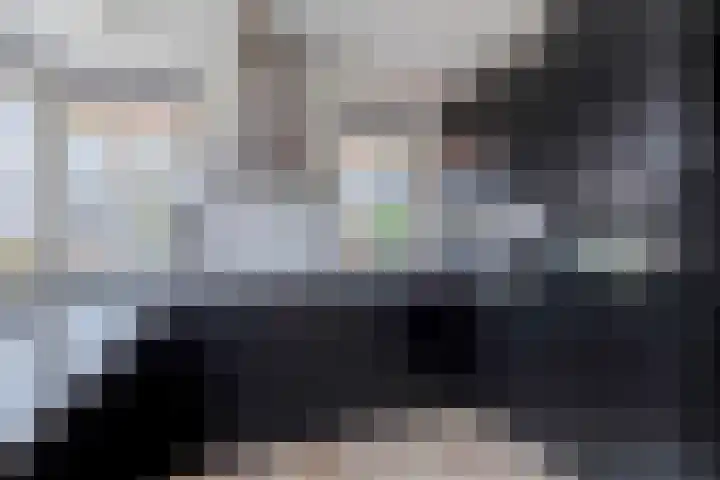 Sleedoorn 7 Heiloo thumbnail 9