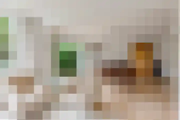 Sleedoorn 8 Odijk thumbnail 12