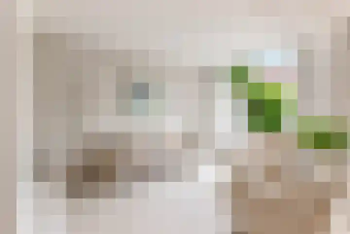 Sleedoorn 8 Odijk thumbnail 15