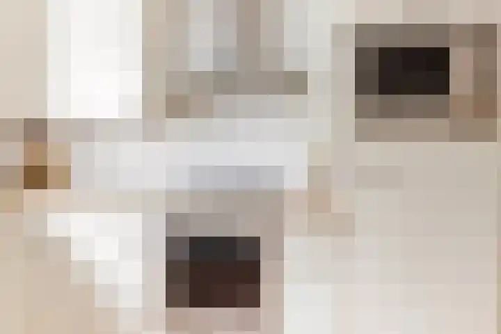 Sleedoorn 8 Odijk thumbnail 18