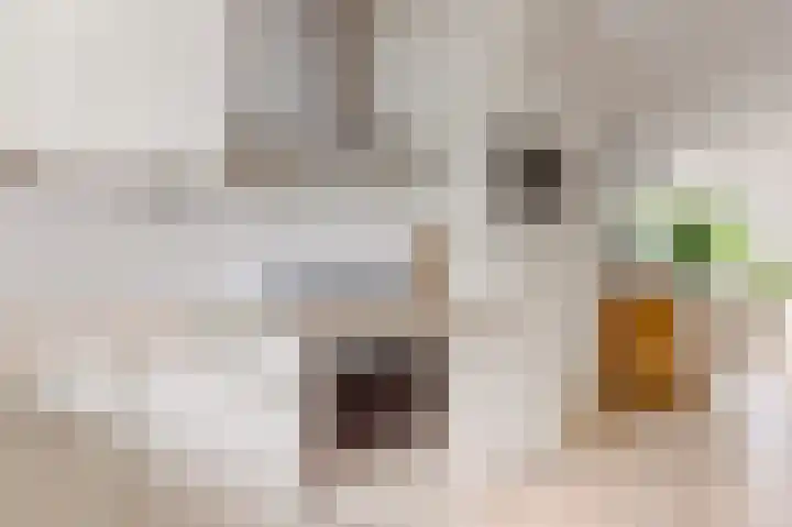 Sleedoorn 8 Odijk thumbnail 19