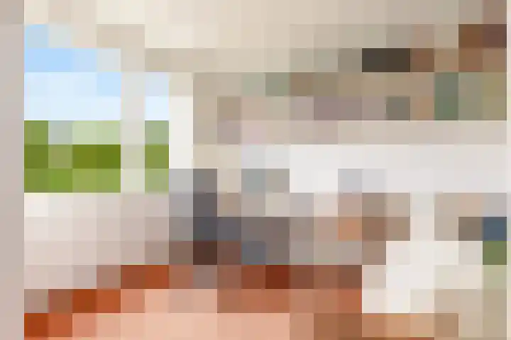 Sleedoorn 8 Odijk thumbnail 23