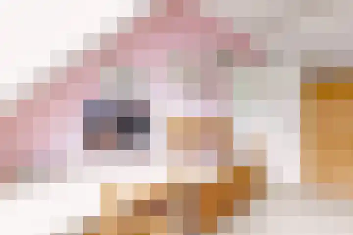 Sleedoorn 8 Odijk thumbnail 30