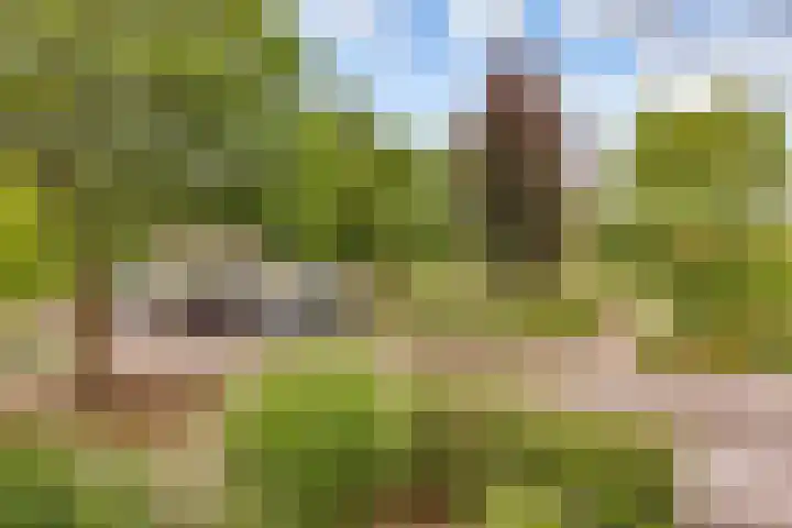 Sleedoorn 8 Odijk thumbnail 40