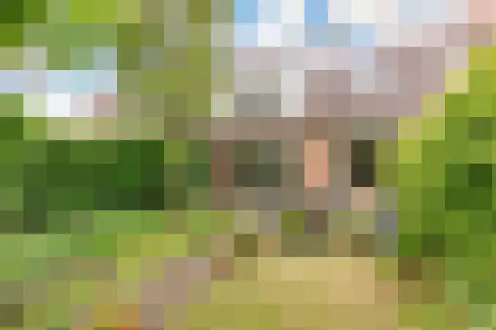 Sleedoorn 8 Odijk thumbnail 42