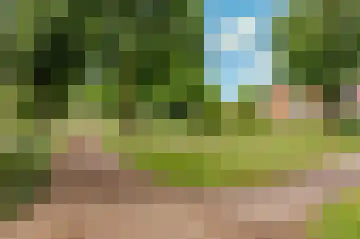 Sleedoorn 8 Odijk thumbnail 52