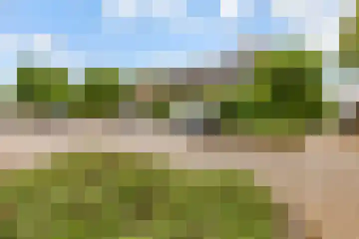 Sleedoorn 8 Odijk thumbnail 53