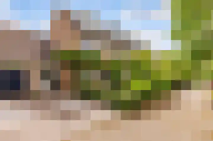 Sleedoorn 8 Odijk thumbnail 59