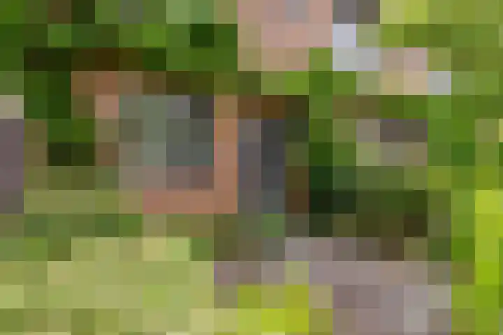 Sleedoorn 8 Odijk thumbnail 6