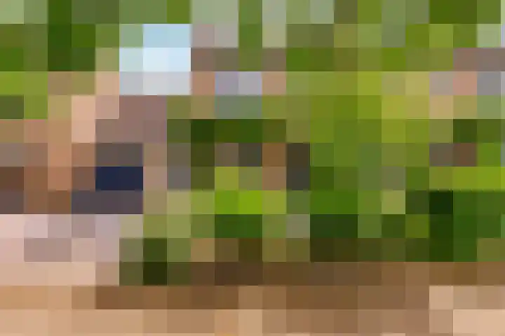 Sleedoorn 8 Odijk thumbnail 7