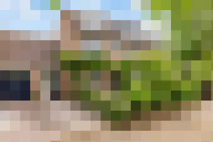 Sleedoorn 8 Odijk thumbnail 8