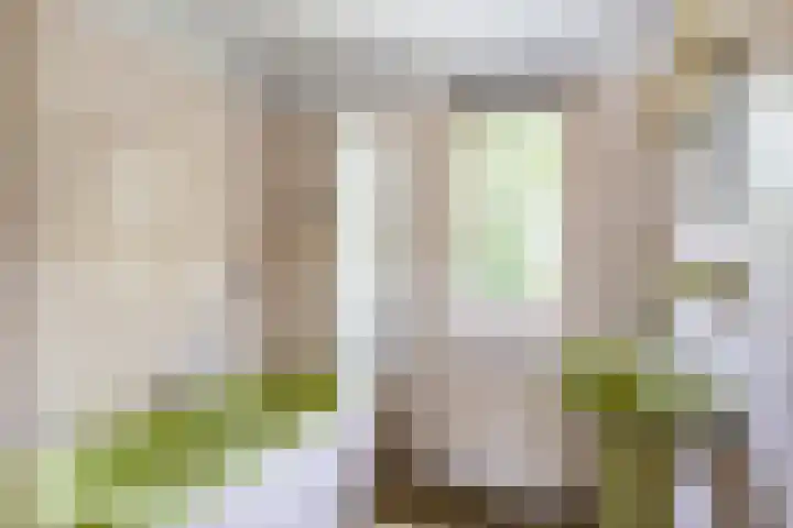 Sleedoornsingel 5 Gouda thumbnail 21