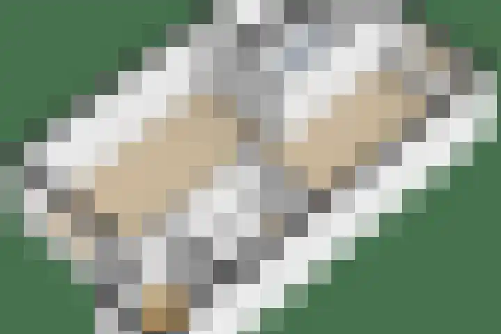 Sleedoornsingel 5 Gouda thumbnail 36