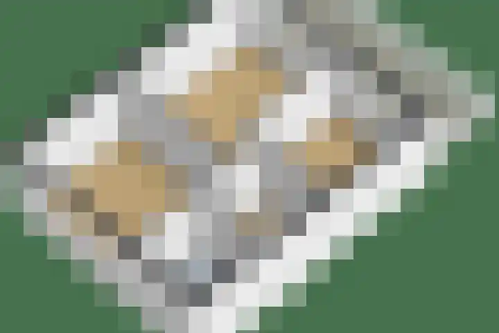 Sleedoornsingel 5 Gouda thumbnail 38