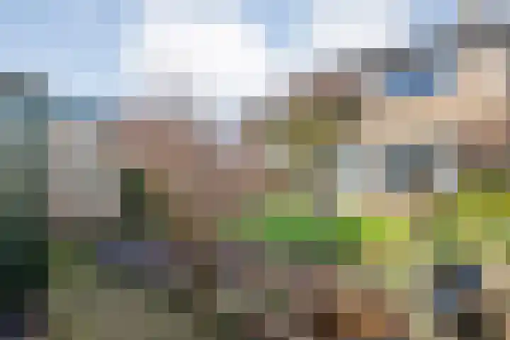 Sleedoornstraat 2 Ommen thumbnail 17
