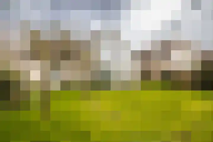 Sleedoornweg 2 Haarlem thumbnail 20