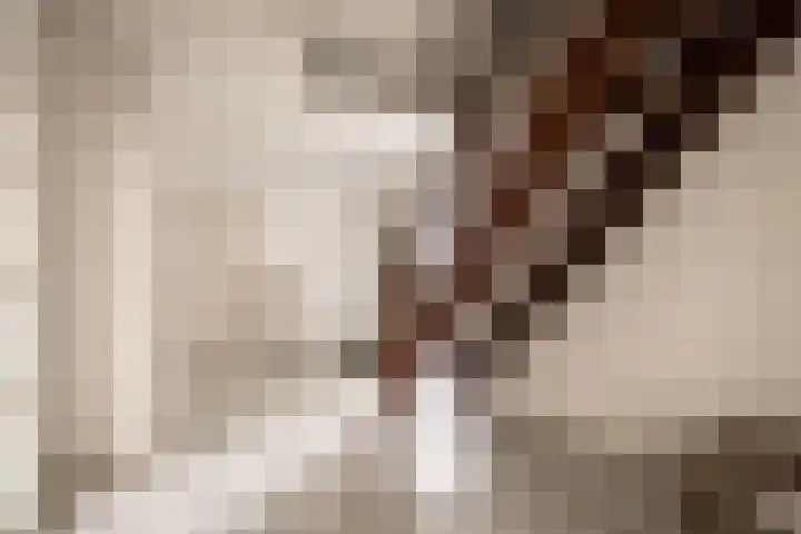 Sleedoornweg 2 Haarlem thumbnail 23