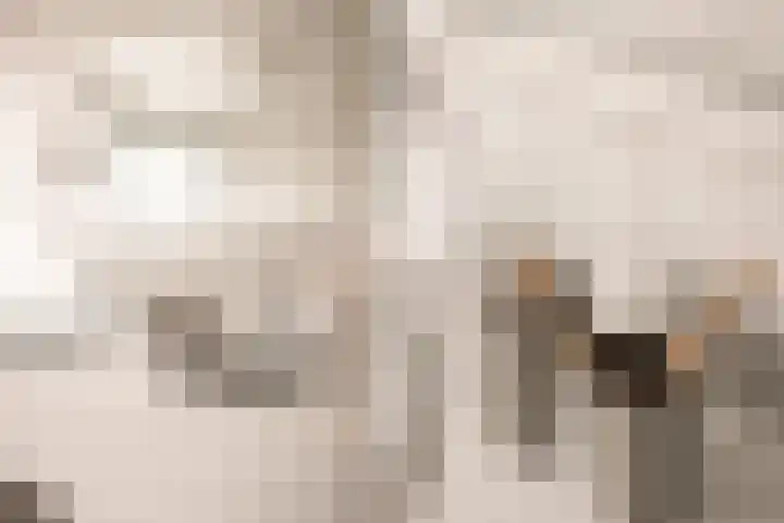 Sleedoornweg 2 Haarlem thumbnail 39