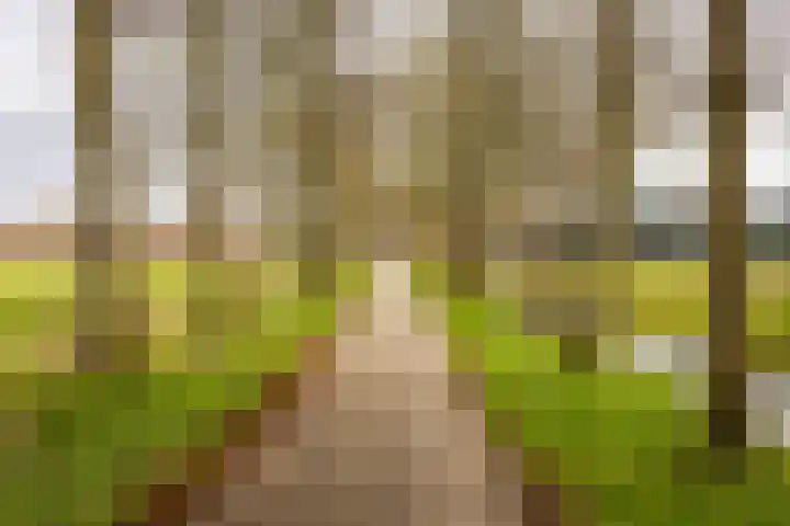 Sleedoornweg 2 Haarlem thumbnail 52