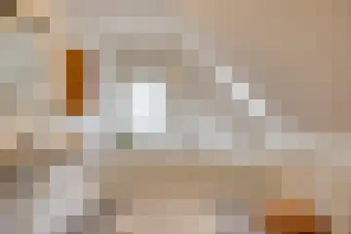 Sleen 7 Heijen thumbnail 35