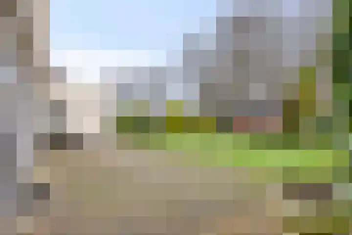 Sleen 7 Heijen thumbnail 39