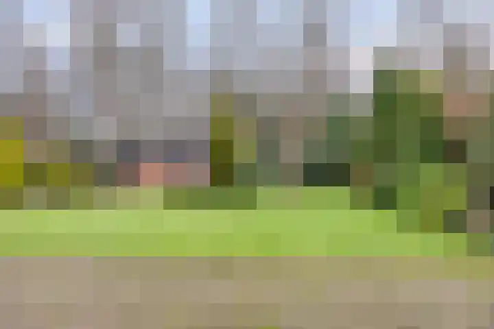 Sleen 7 Heijen thumbnail 40