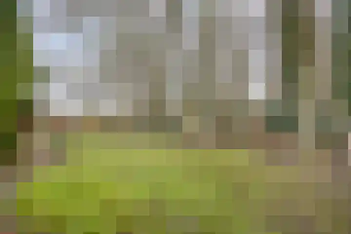 Sleen 7 Heijen thumbnail 41
